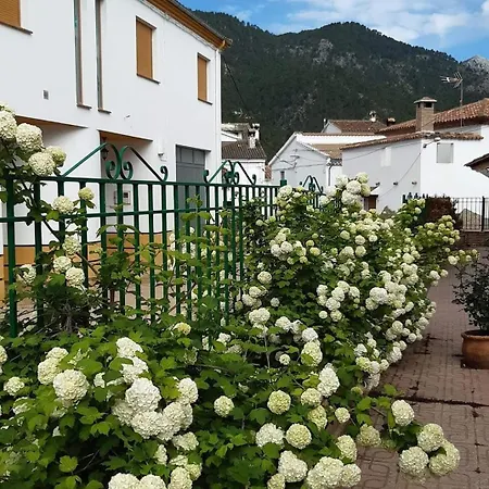 Holiday home Albergue Ruta Rio Borosa *